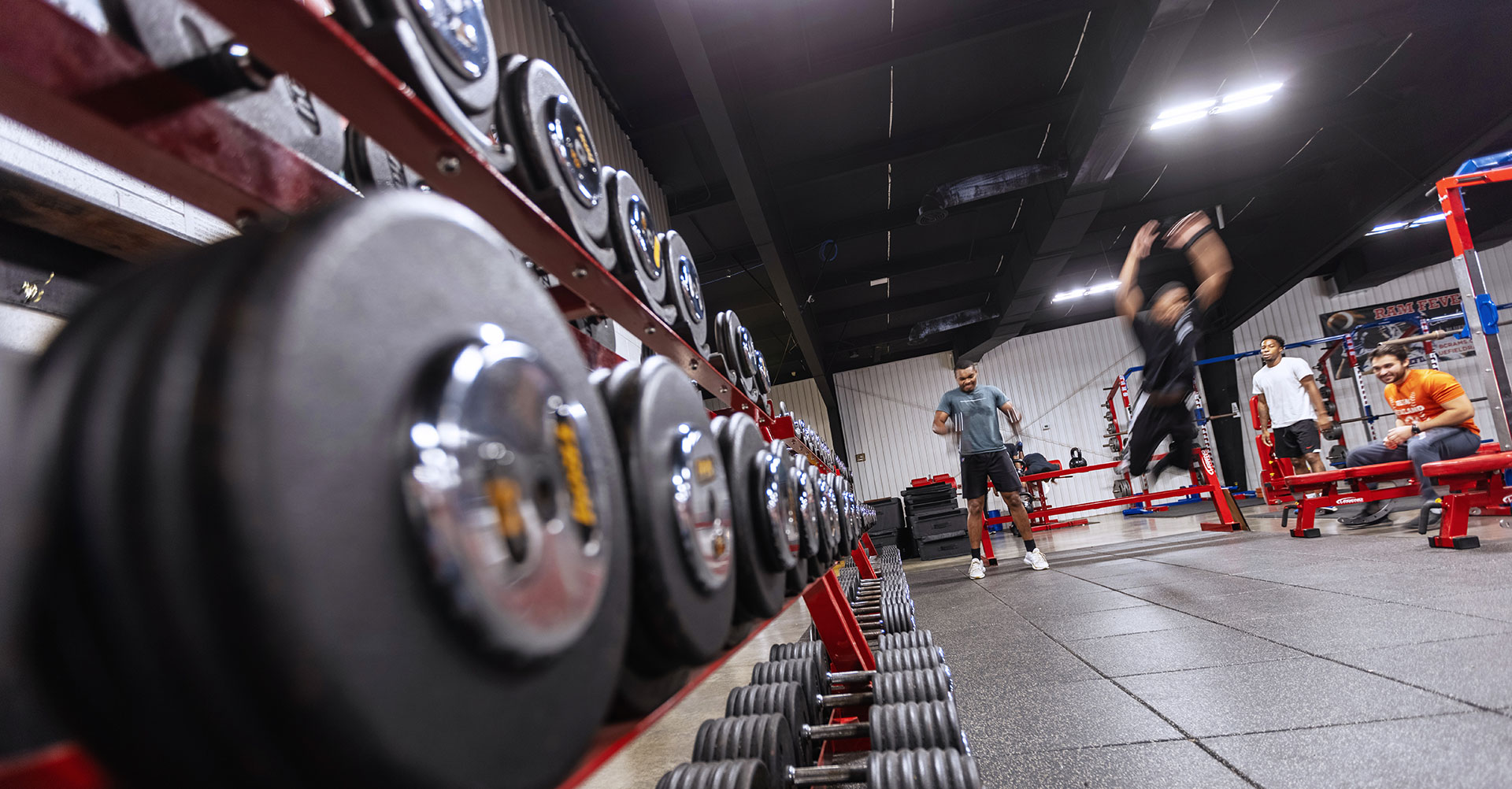 Exercise & Sport Science | Bluefield University